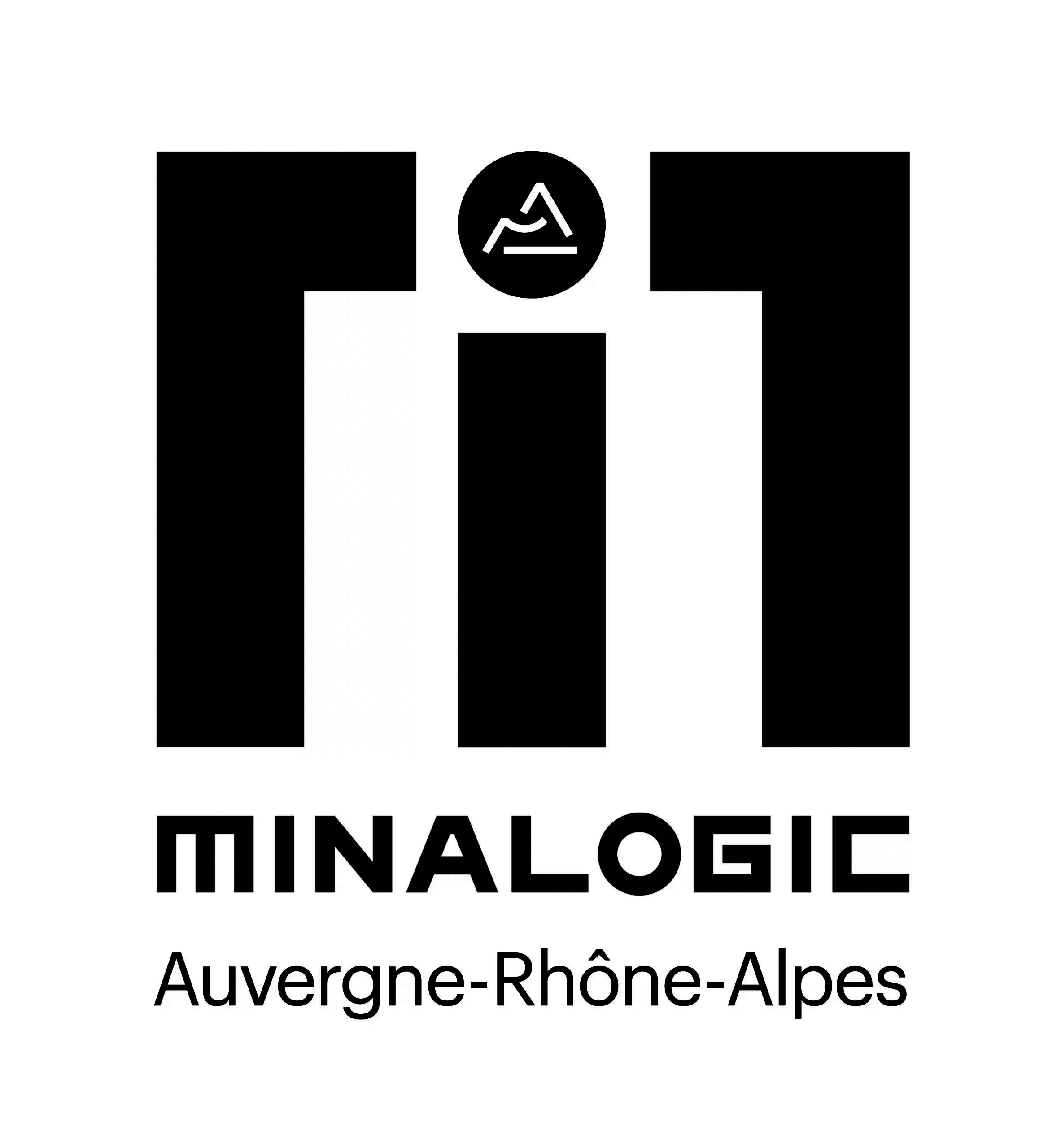 Minalogic principal couleur scaled 1